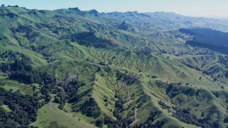 461 Admiral Station Road Gladstone_15