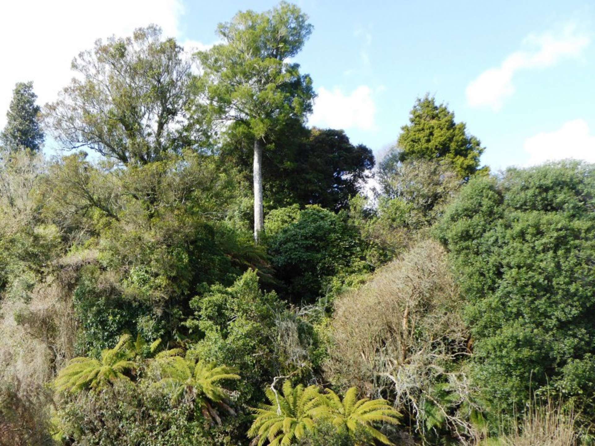 1278 Poihipi Road Oruanui_0