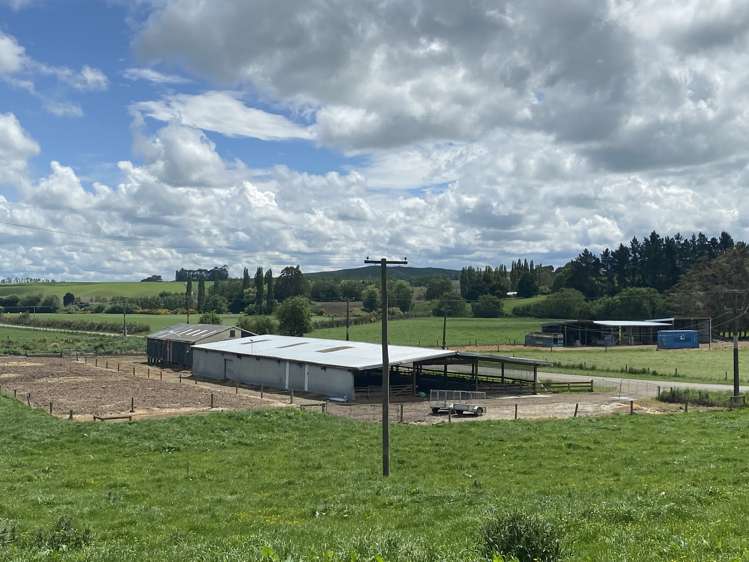 322 Wendon Creek Road Gore Surrounds_9