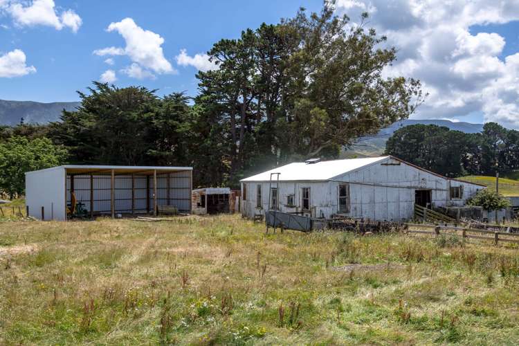 812 Laws Road Dannevirke_12