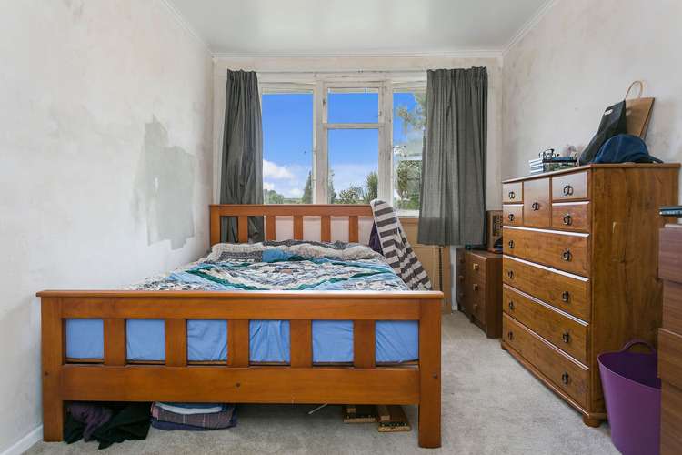 24 Goodwin Avenue Morrinsville_11