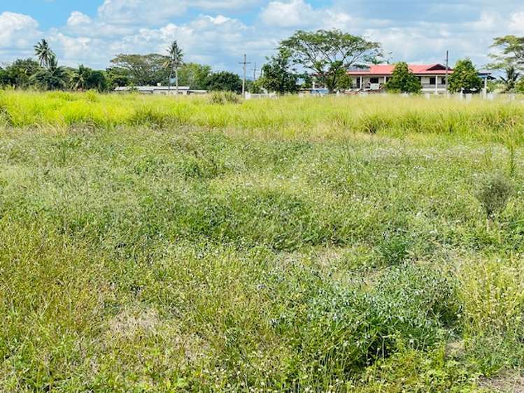 Lot 1 NAISOSOVU Nadi_9