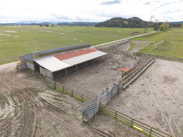 650 Lake Brunner Road Moana_14