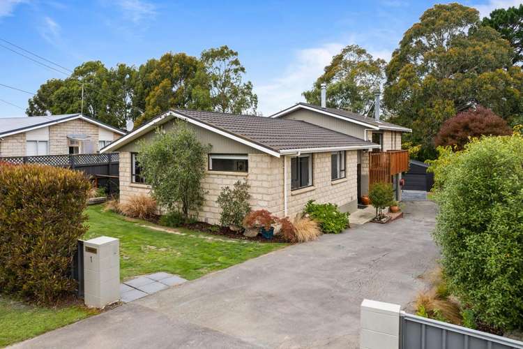 1 Viscount Road Waldronville_32