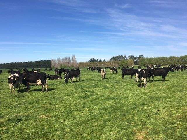 188 Loan Metal Road Momona_4