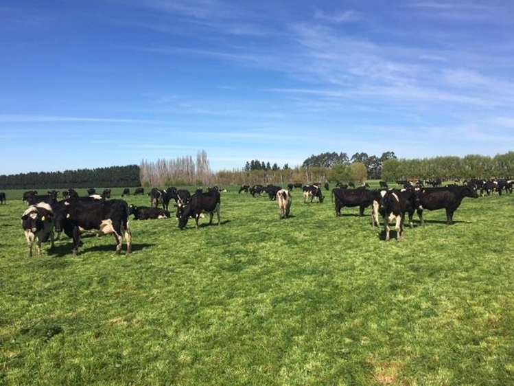 188 Loan Metal Road Momona_4