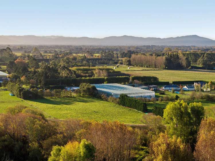 31 Madeleys Road Clarkville_33