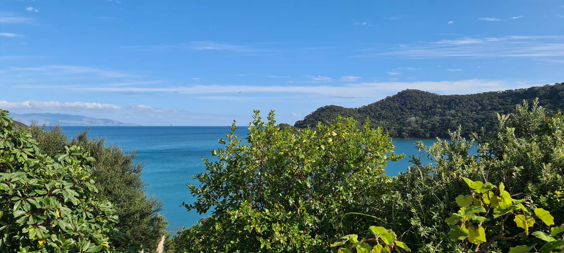 781 Whangaparapara Road Great Barrier Island_0