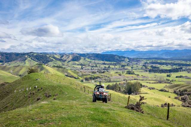 Proven Valley Pastures a Win