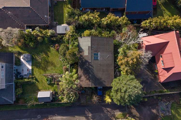 56A Moncur Drive Springfield_9