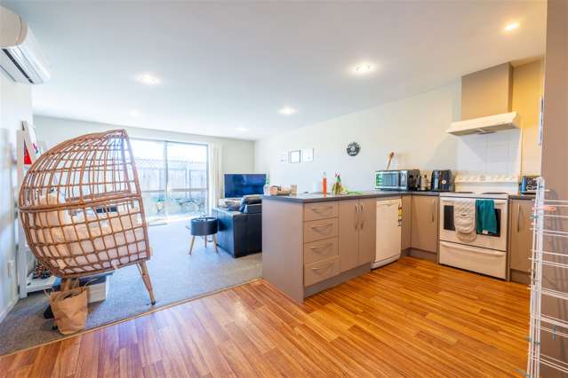 364 Wai-iti Road Timaru Central_4