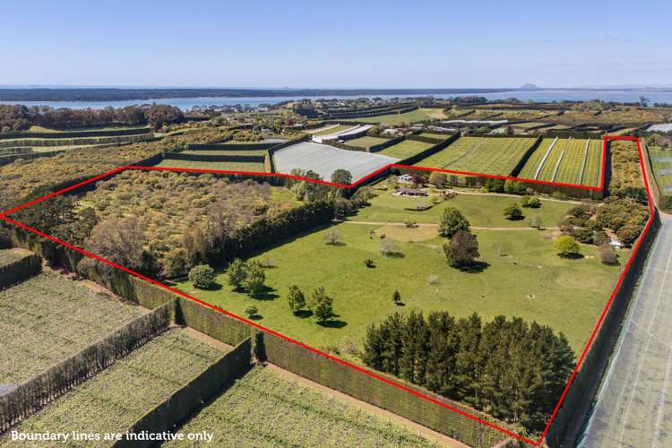 155 Ongare Point Road Katikati_0