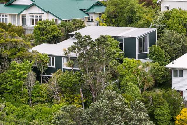 17 Oban Street Wadestown_1