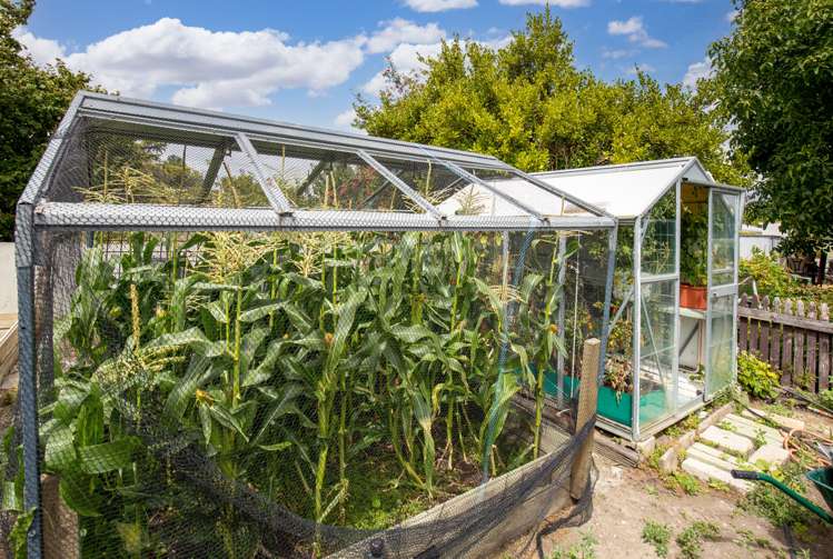 14 Blyth Street Clyde_16