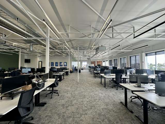 317 New North Road Kingsland_3