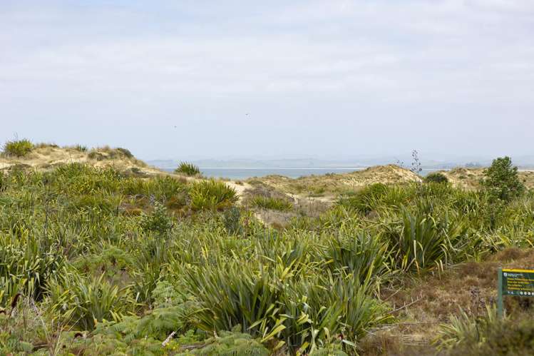 100 Simon Urlich Road Karikari Peninsula_30
