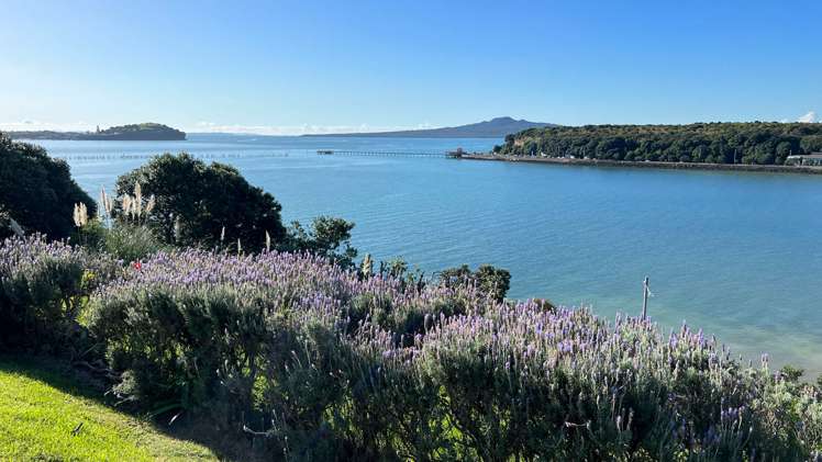 3/29 Paritai Drive Orakei_10