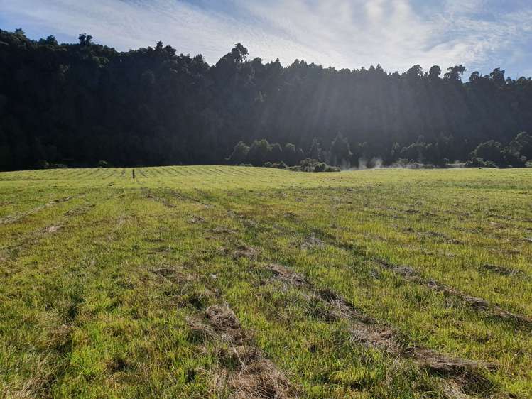 Blue Spur Road Hokitika_7