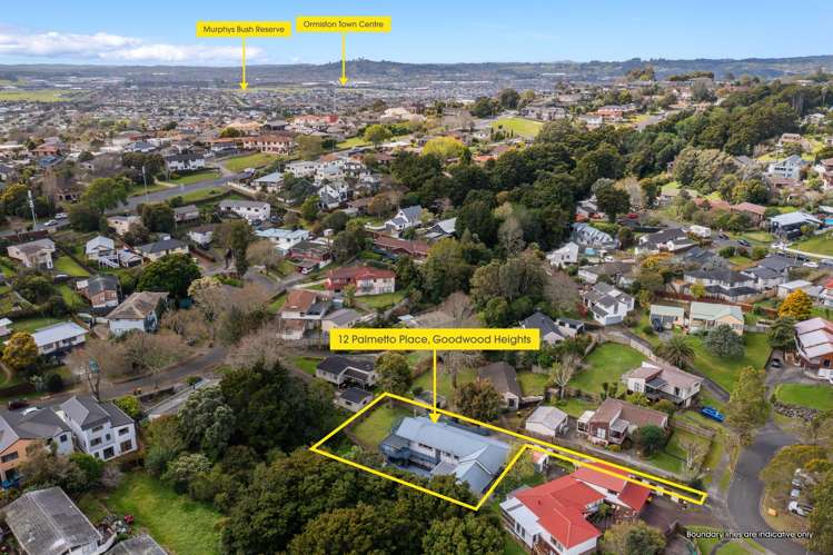 12 Palmetto Place Goodwood Heights_34