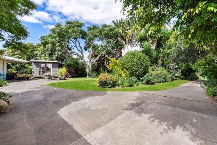 356 Shelly Beach Road South Head_5