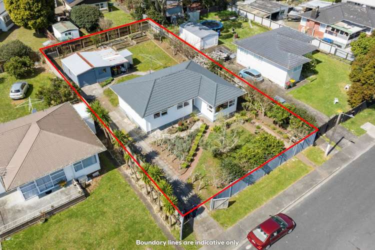 36 Edinburgh Avenue Rosehill_17