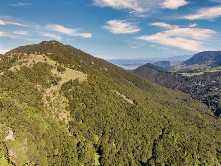 184 Blue Duck Valley Road Seaward Valley_10