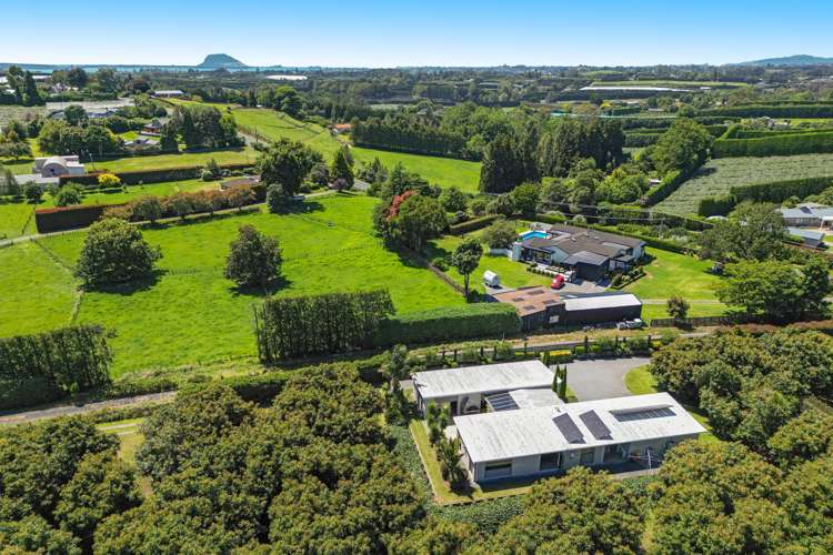 89B Snodgrass Road Te Puna_2