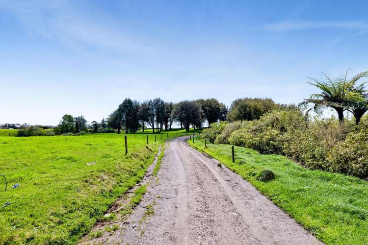 539 Kent Road Korito_32