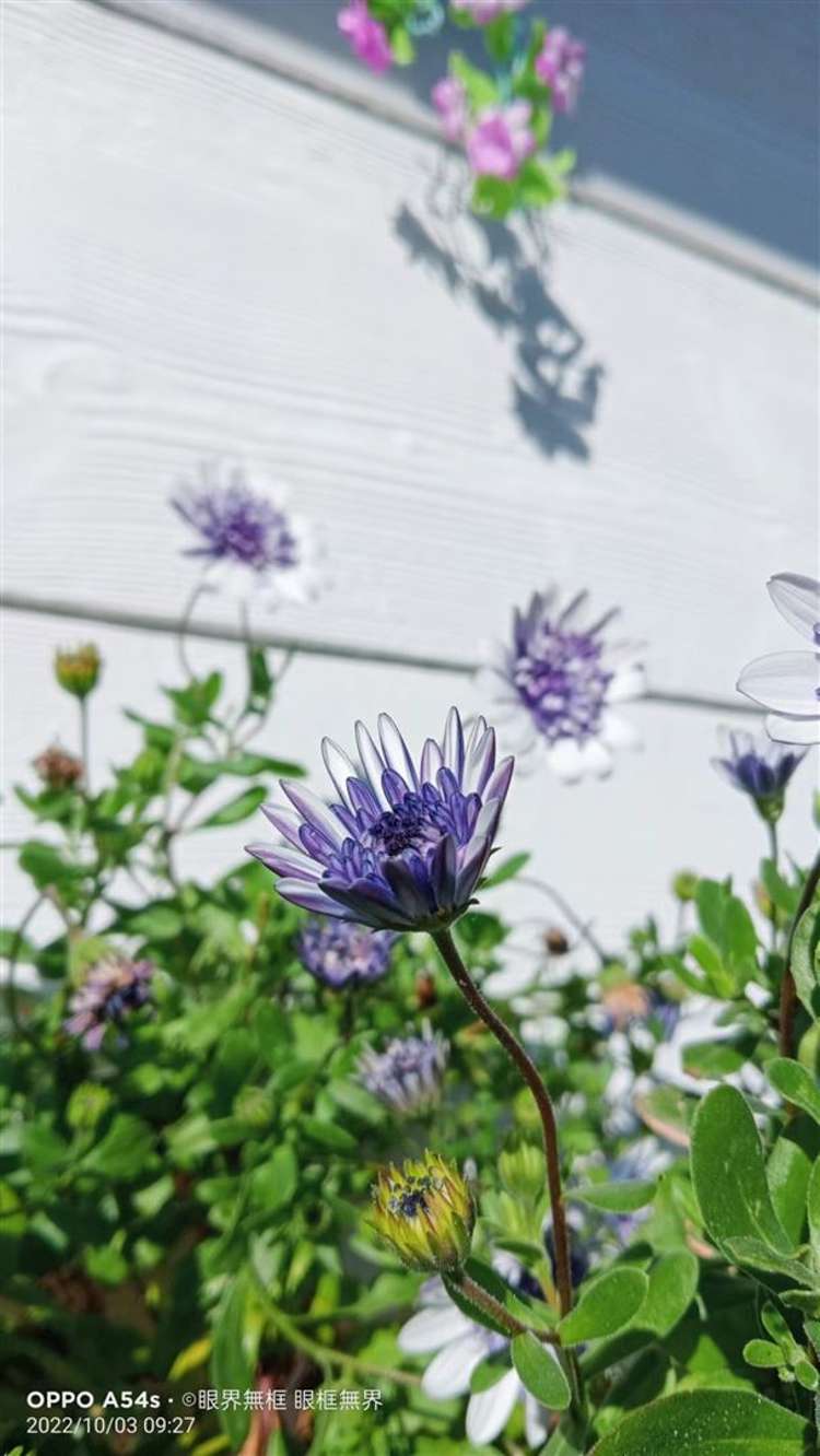 37 Townshend Crescent Halswell_18