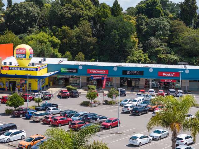233 Fraser Street Tauranga South_2