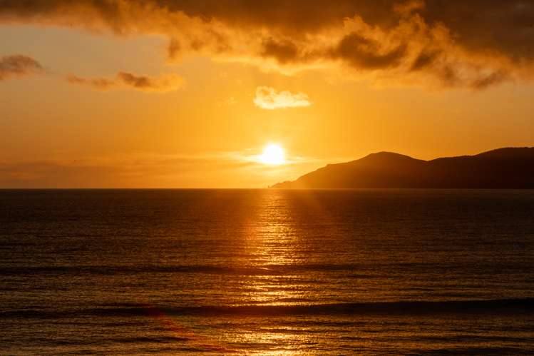 201a Rosetta Road Raumati South_8