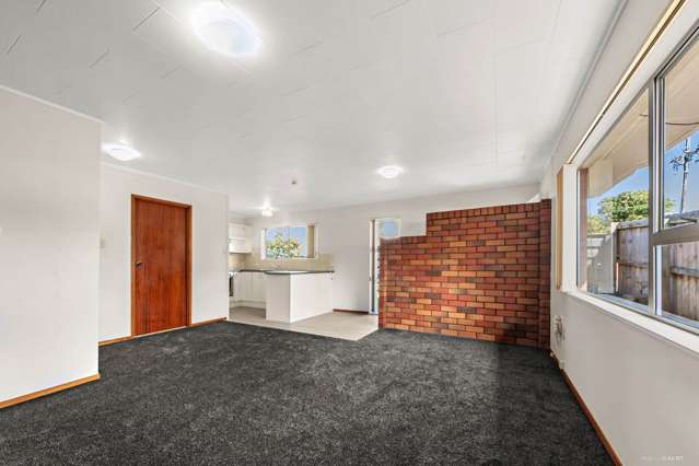 51 Nikau Street New Lynn_1
