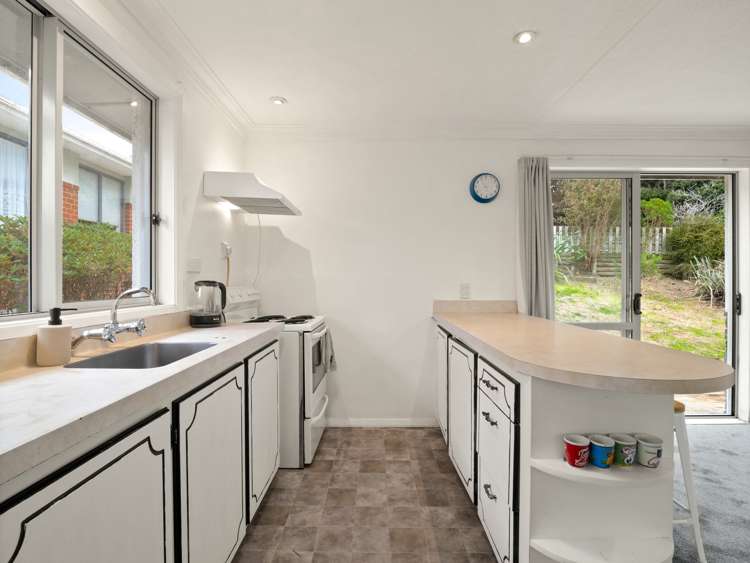 446 Pine Hill Road Pine Hill_6