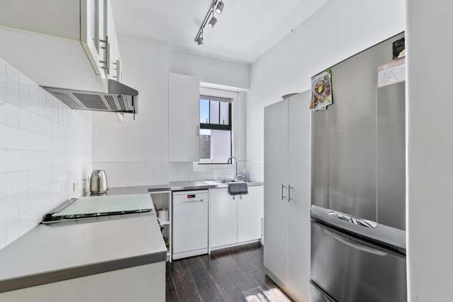 3/24 Elizabeth Street Mount Victoria_1