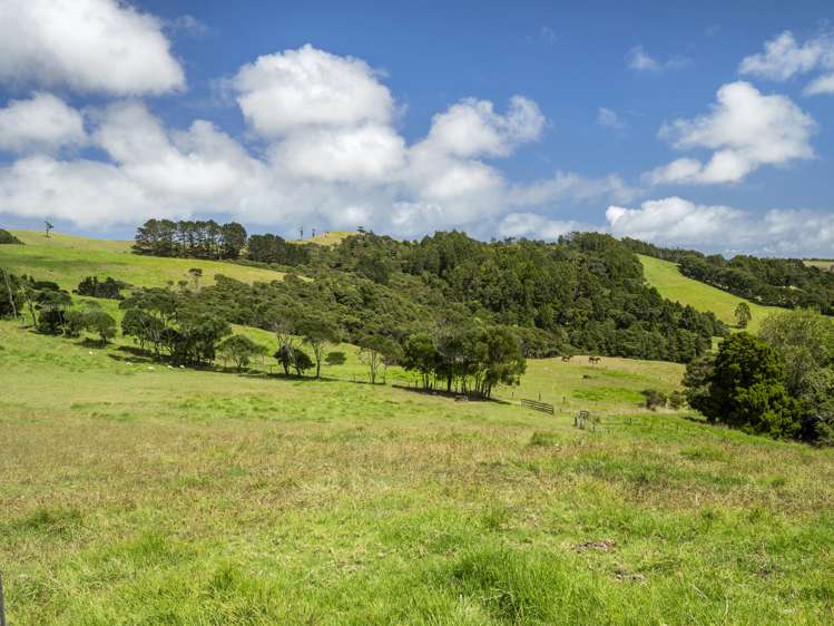 234 Muriwai Valley Road Muriwai_3