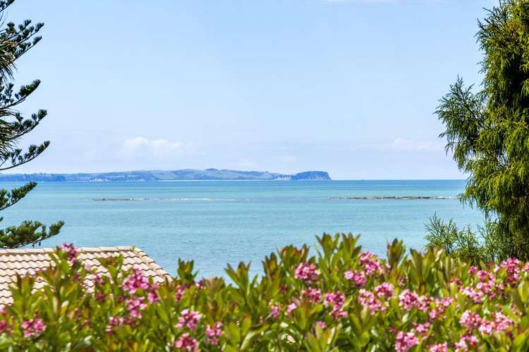 1/45 Rothesay Bay Road Rothesay Bay_15