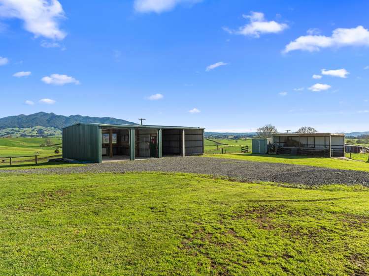 320 Bell Road Pirongia_13