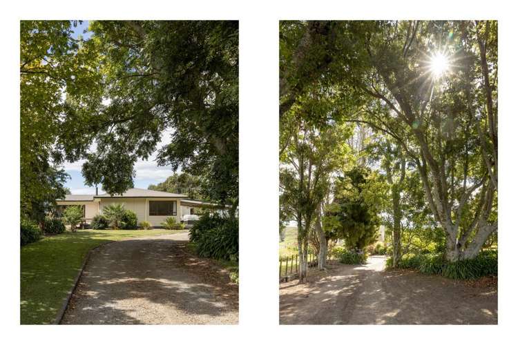 473 Otara Road Opotiki_5