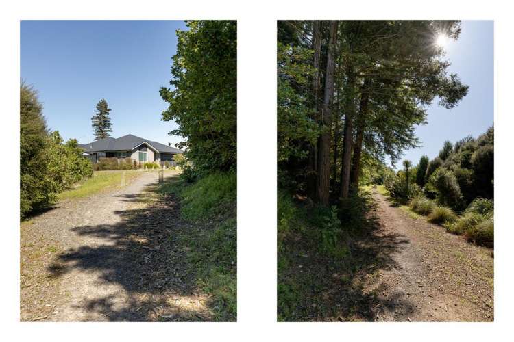 30 Kauri Lane Omokoroa_25