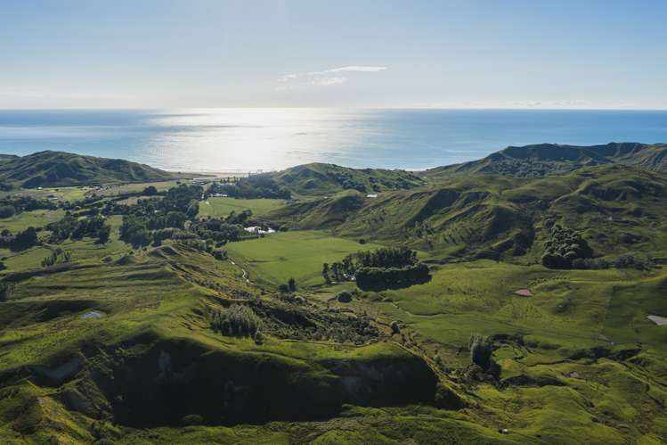 8/3382 Pourerere Road Central Hawkes Bay Coastal_8