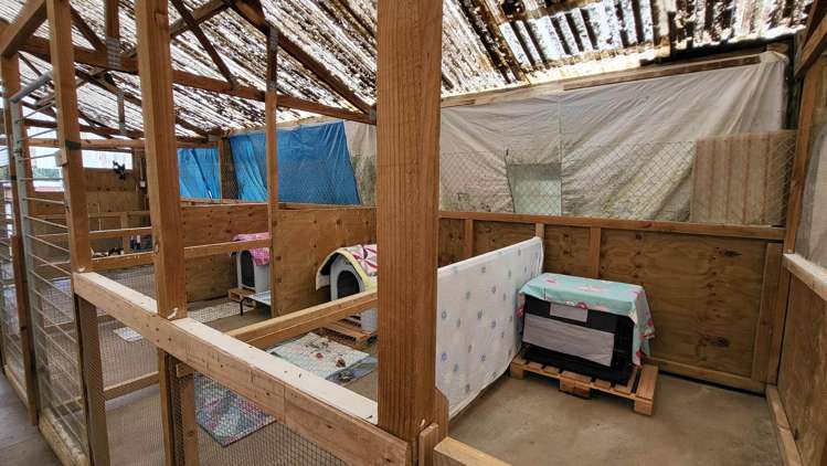 76 Wings Line Marton_23