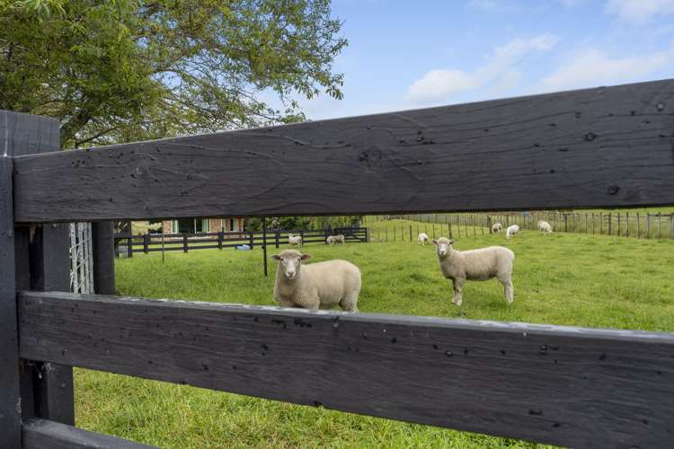 271 Richmond Road Lepperton_22