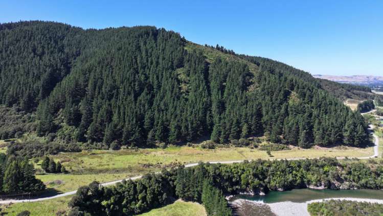 Waiohine Gorge Road Carterton_10
