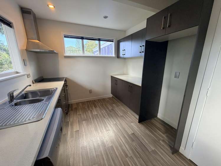 66 Elliott Avenue Glenfield_5