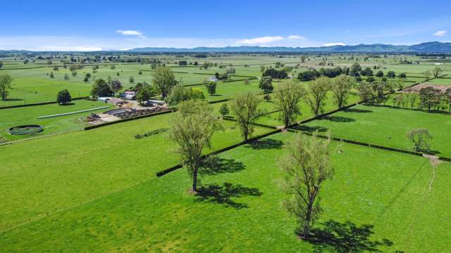 884 Horrell Road Morrinsville_2