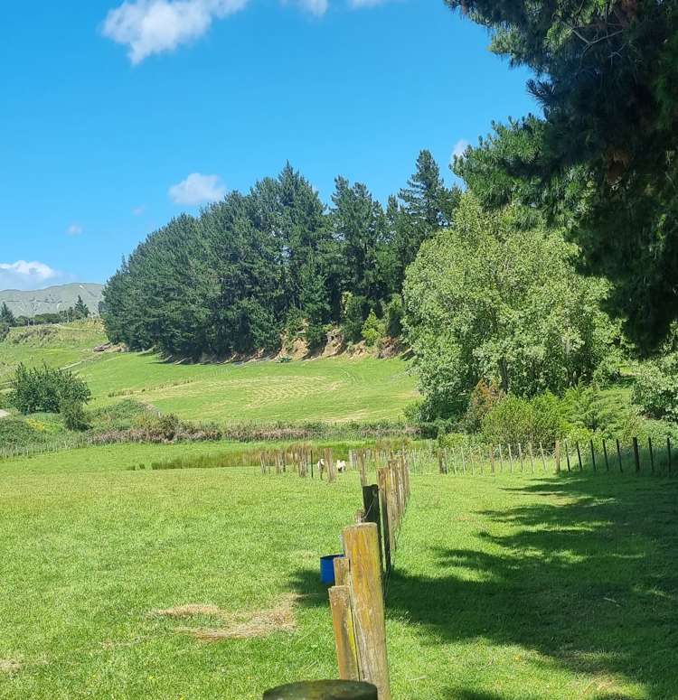 9 Buckley Road Shannon_15