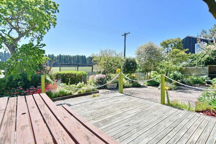 50 Grierson Avenue Amberley_14