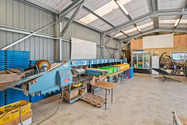 Matahui Road Aongatete_10