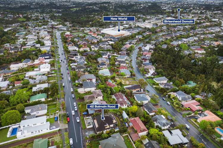 42 Balmain Road Chatswood_25