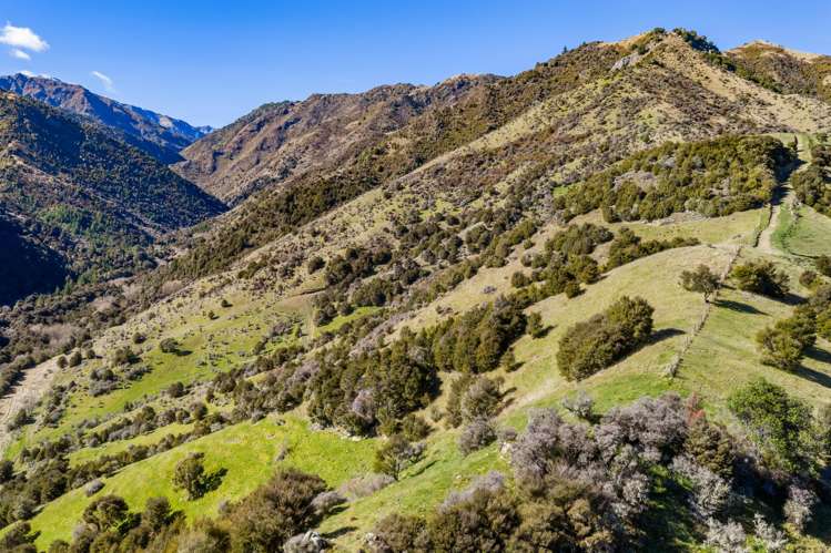 1367 Leatham Road Wairau Valley_19